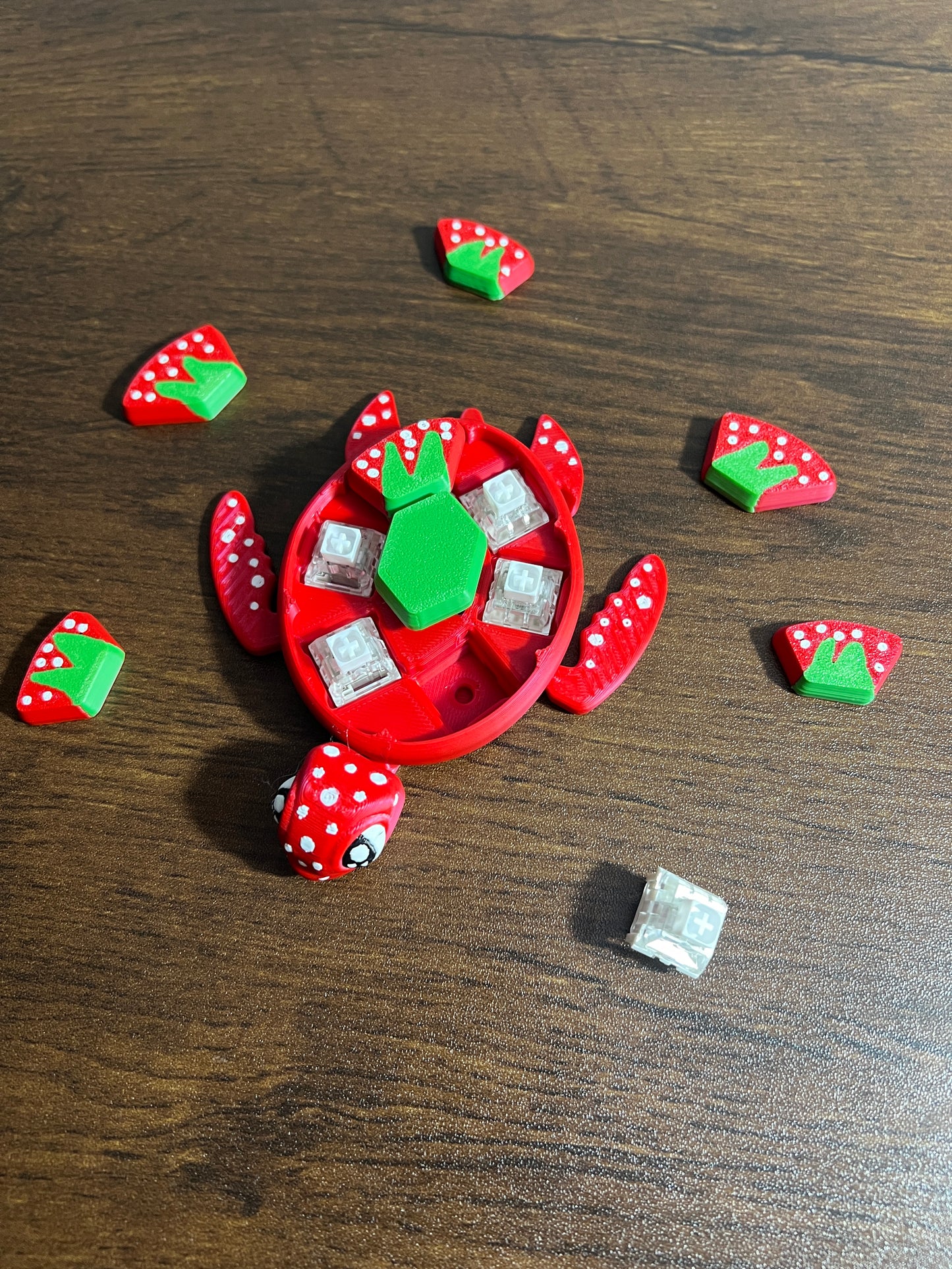 Multicolor Fidget Turtle 3D Printed Model