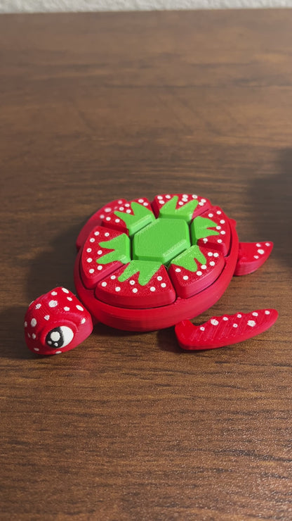 Multicolor Fidget Turtle 3D Printed Model